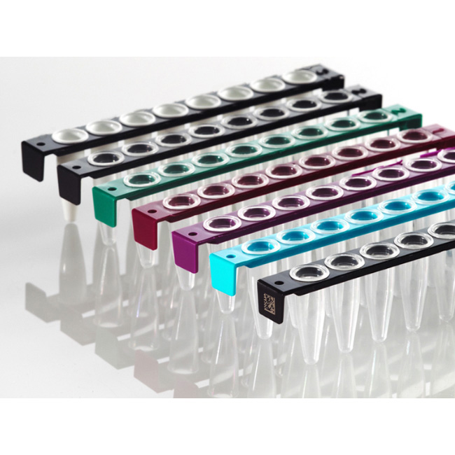 8 Well PCR Tube Strips, clear Wells, white Frame