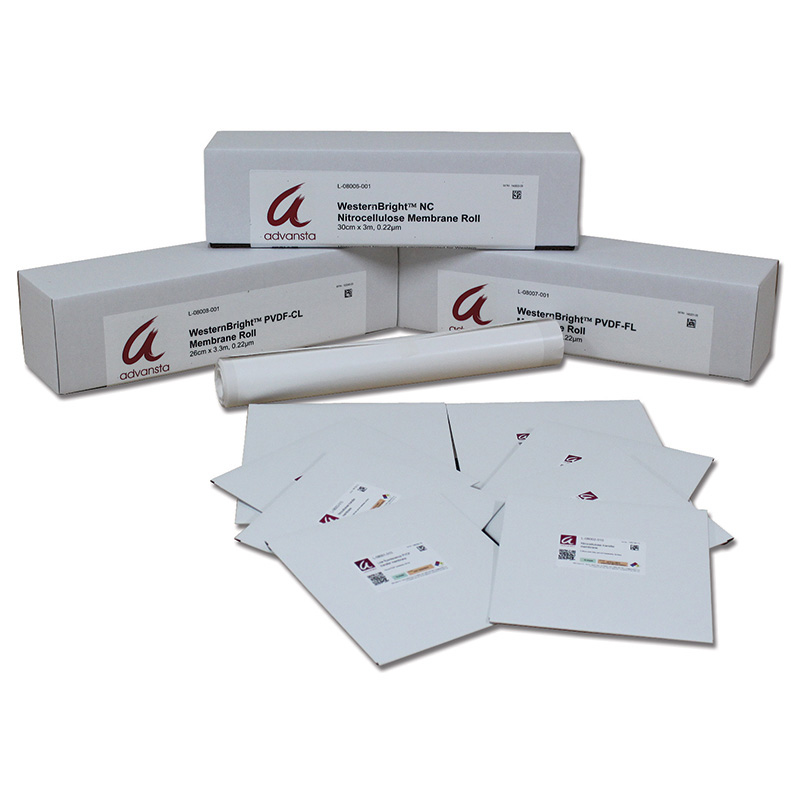 PVDF-FL Membrane Low Fluorescence, 0.45 µm