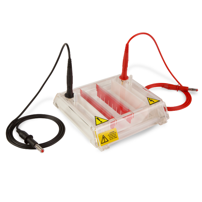 EasyPhor Rapid Gelelektrophorese System, 10x8 cm