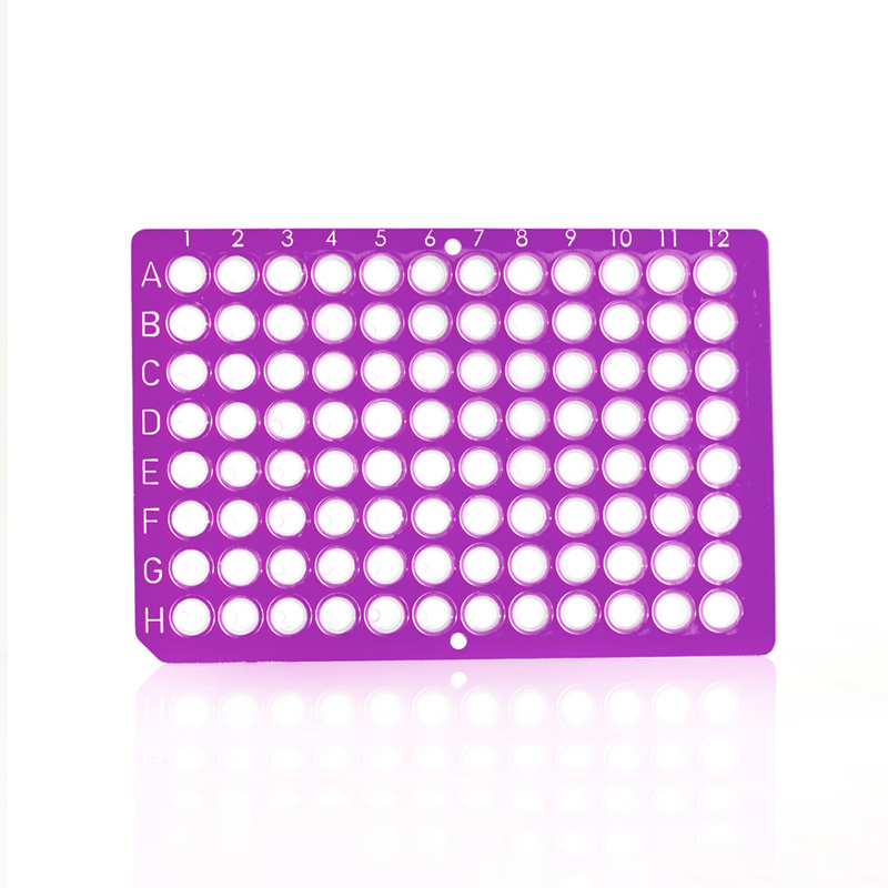 FrameStar 96 PCR Plate, clear Wells, purple Frame