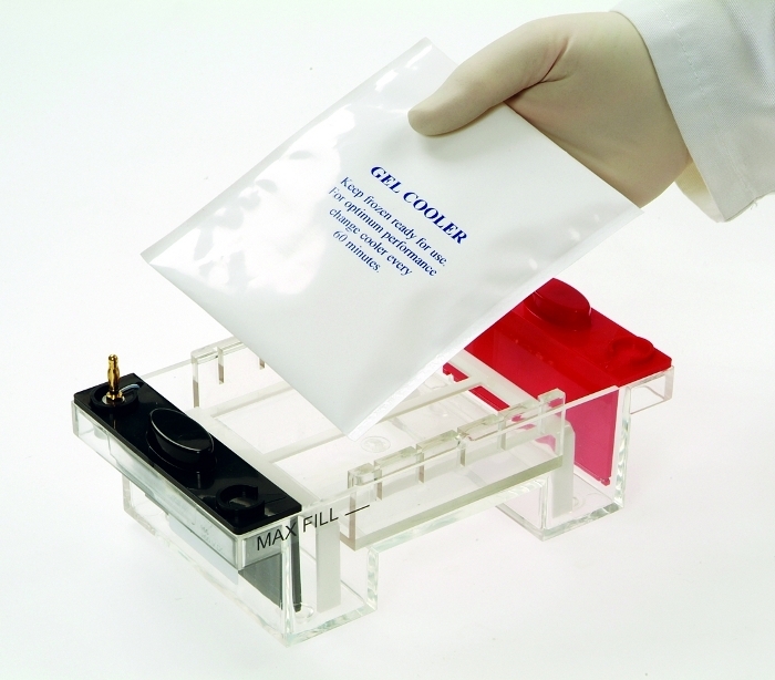 EasyPhor Mini Kühlakku und Ablageplattform