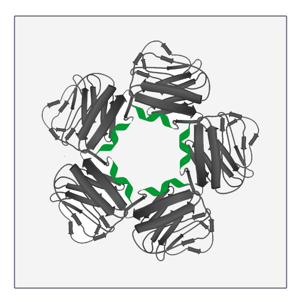 Proteinproduktion