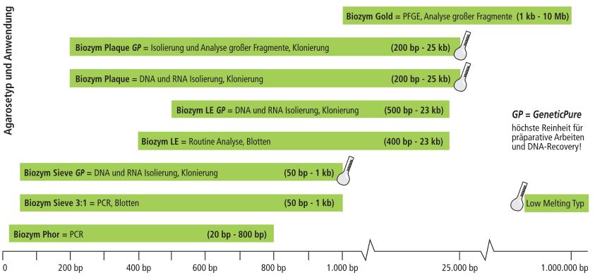 Auswahl_Die-richtige-Agarose