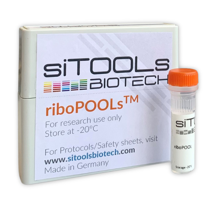 RiboPOOL Probes-Standard