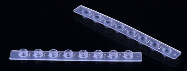 PCR-Deckelstreifen_Robust