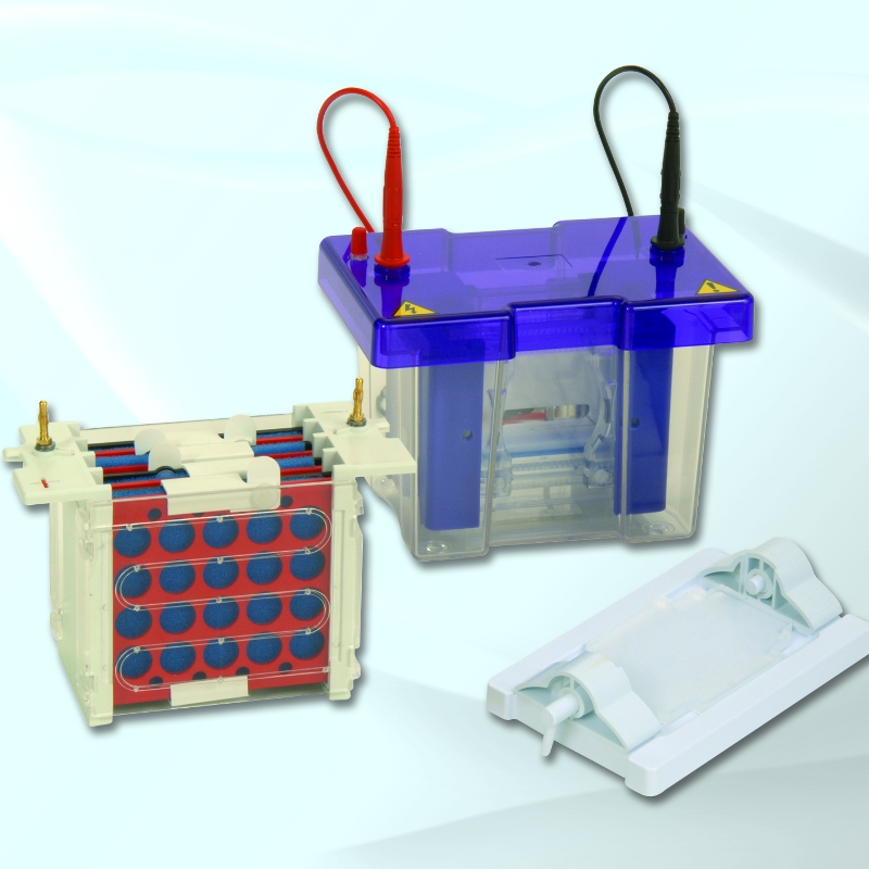 EasyPhor PAGE Mini Tetrad Elektrophorese/Blottting