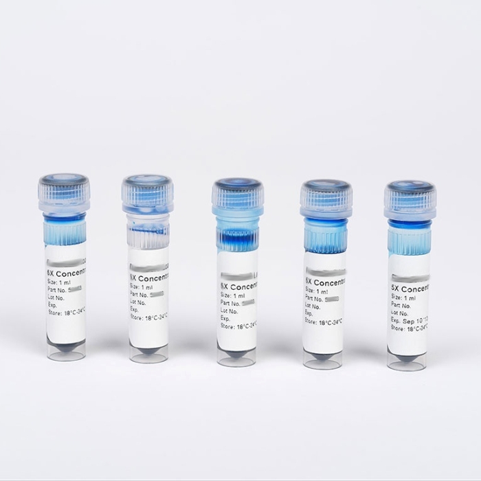 DNA Loading Buffer (6X)