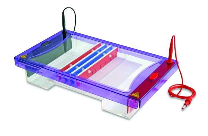 EasyPhor Maxi
