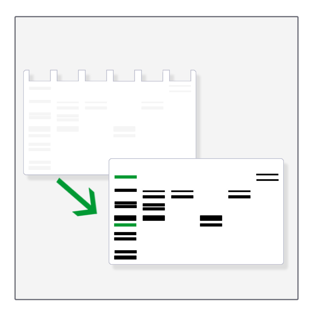 Western Blotting & Proteindetektion
