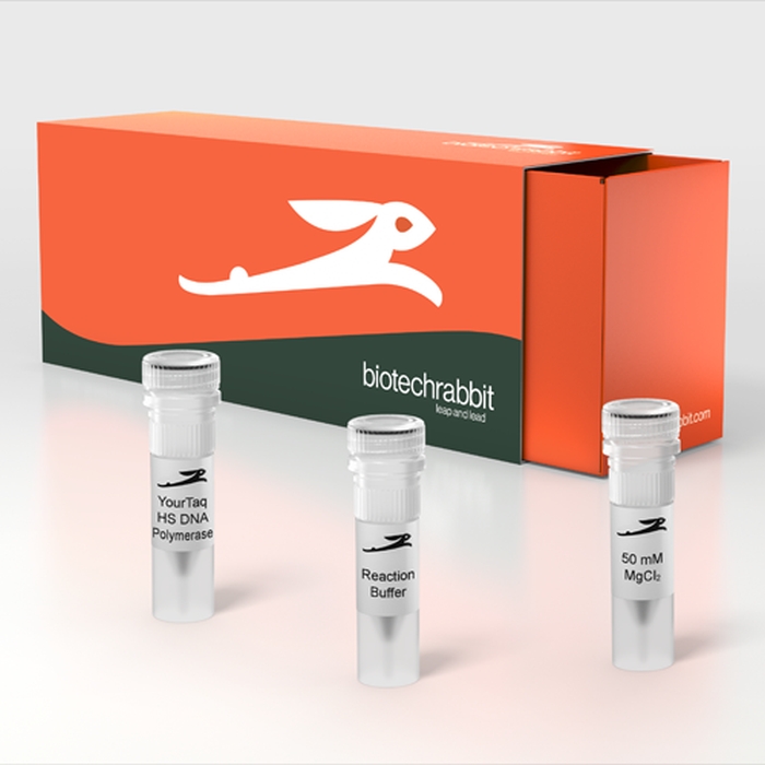 YourTaq Hot Start DNA Polymerase, 5 U/µl