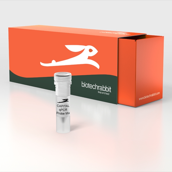 CAPITAL qPCR Probe Mix, 4×