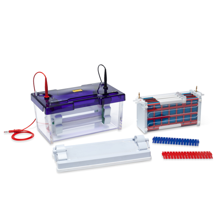 EasyPhor PAGE Mini Wide Elektrophorese & Blotting