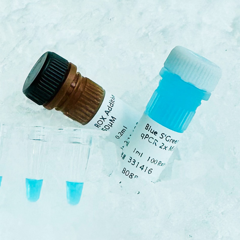 Biozym Blue S'Green qPCR Kit Separate ROX