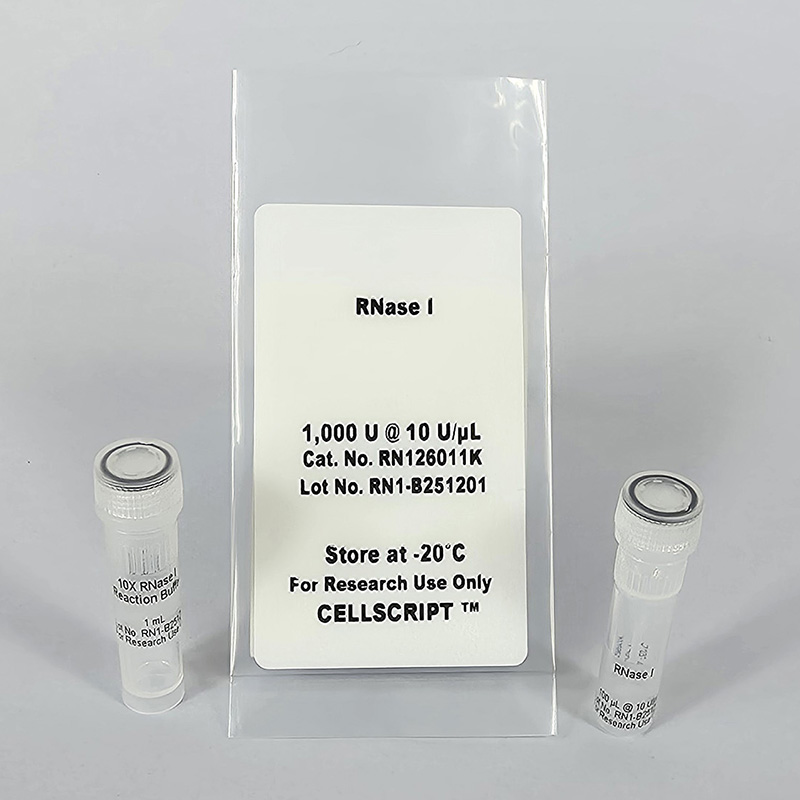 RNase I