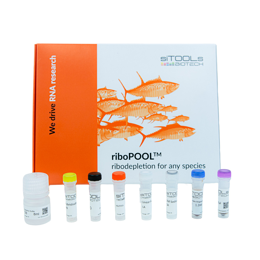 Combination RiboPool Kit