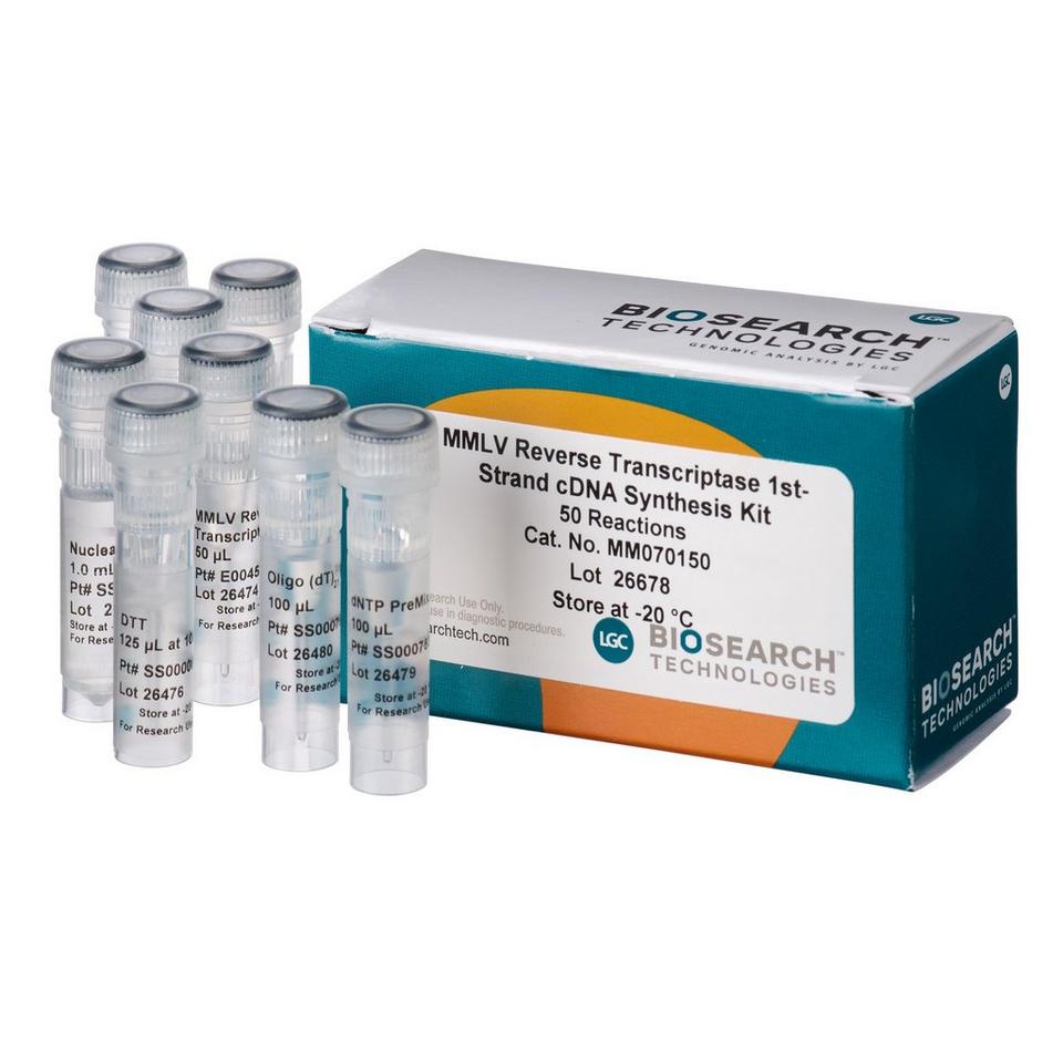 MMLV Reverse Transcriptase 1st-Strand