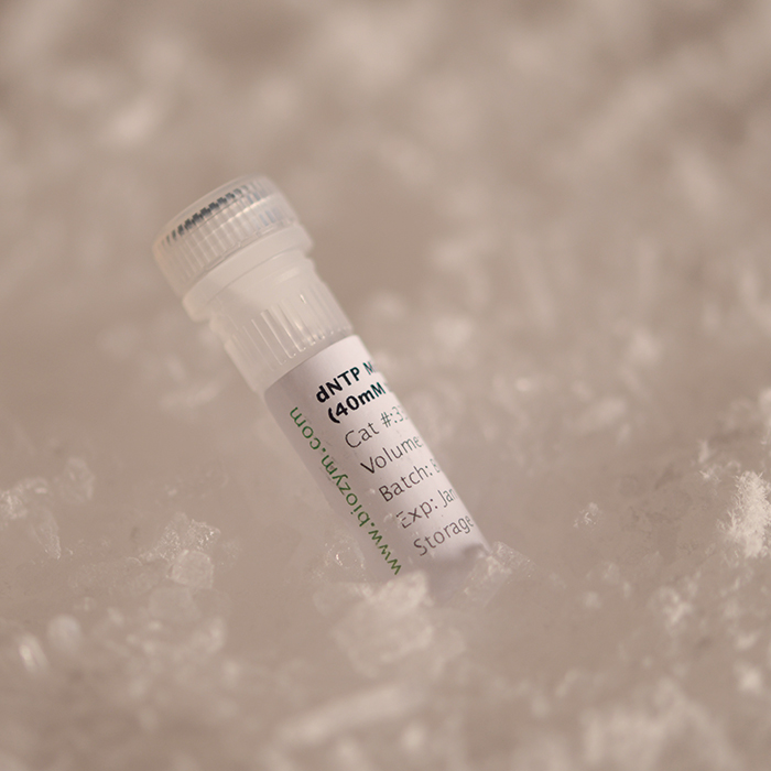 Biozym dNTP Mix 25 mM each, 2 x 0.5 ml