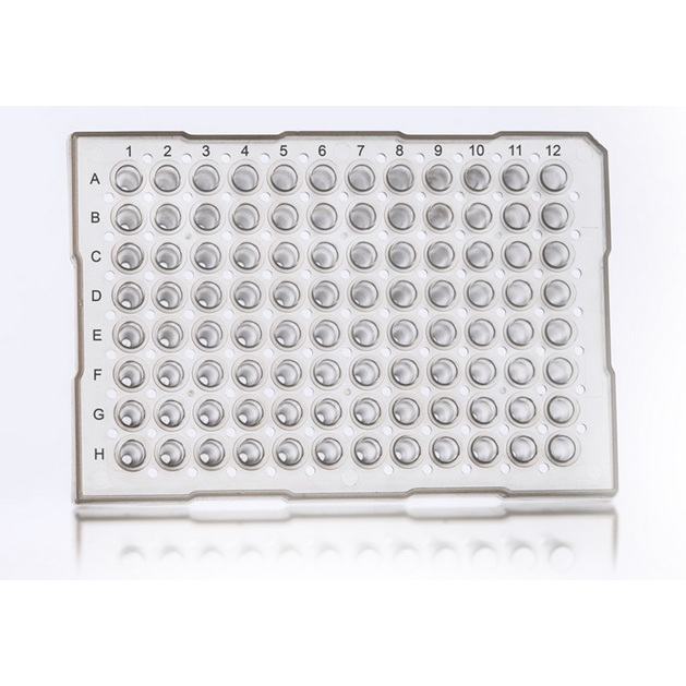 96 Well PCR Plate, clear