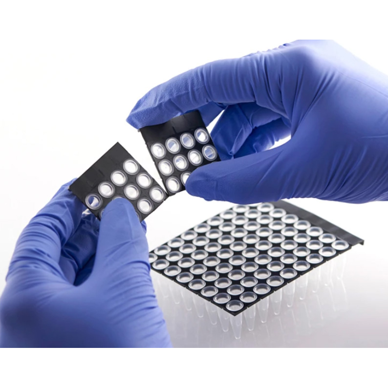 FrameStar 96 PCR Plate, clear Wells, black Frame