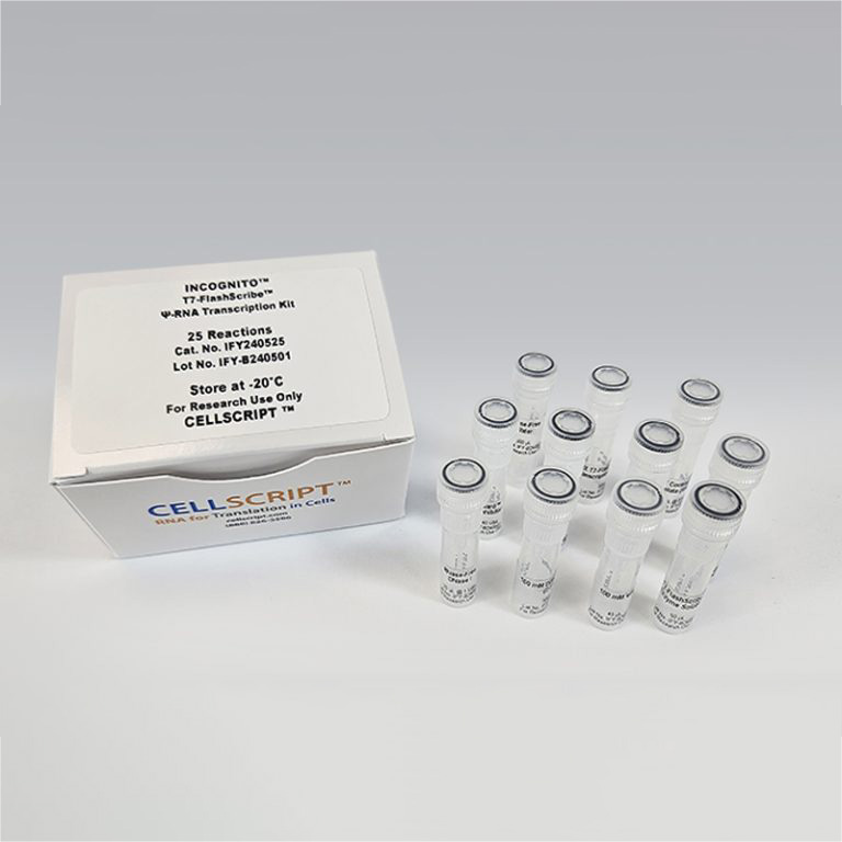 INCOGNITO™ T7-FlashScribe™ psi-RNA