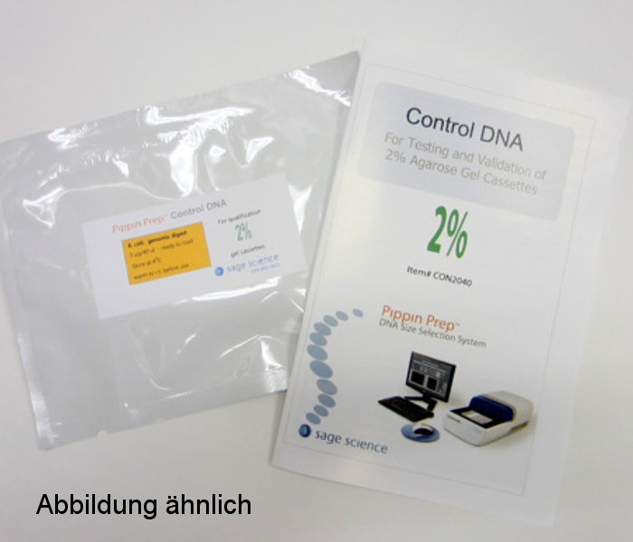 DNA for Validation of 2% Agarose Cassettes