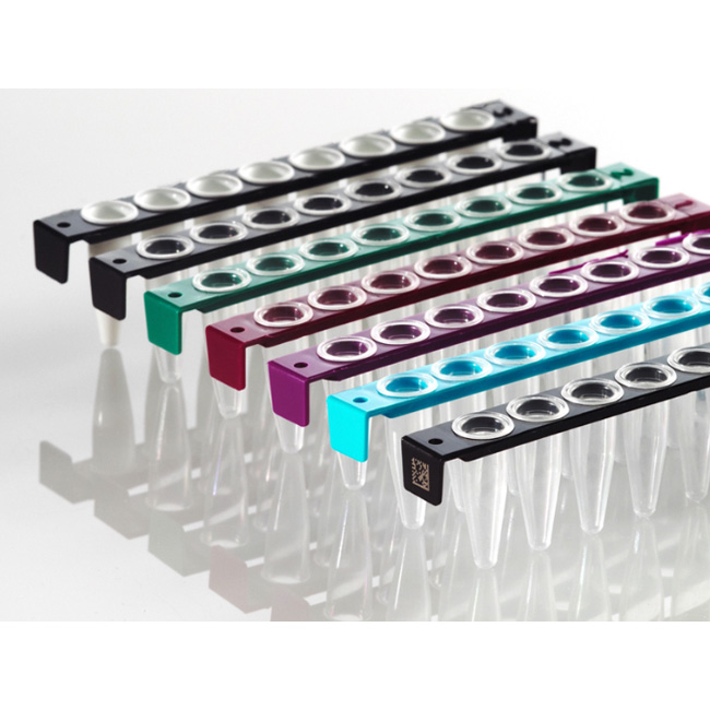 8 Well PCR Tube Strips, clear Wells, black Frame