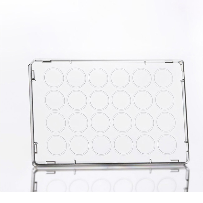 Microplate 24 Lid, clear