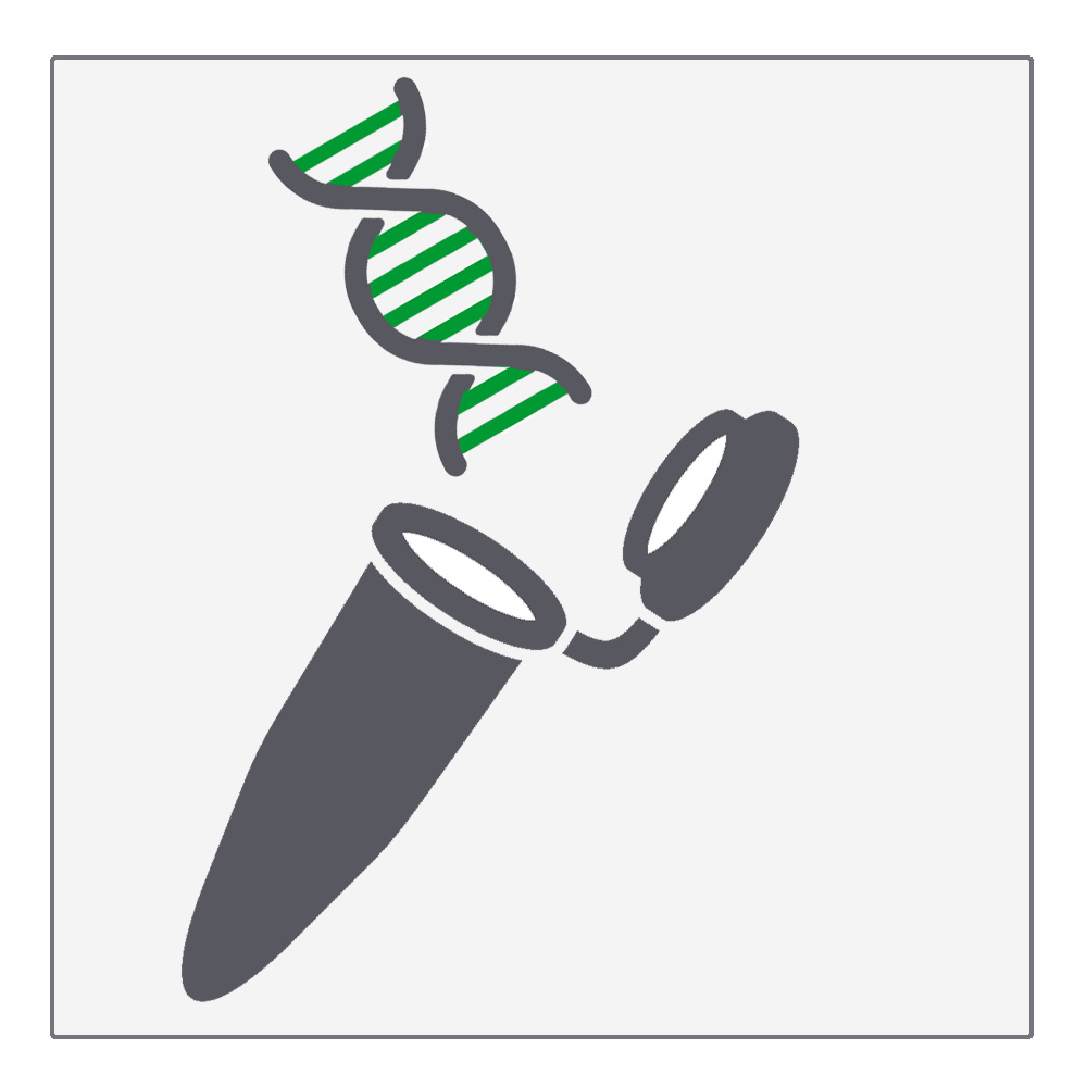 DNA- und RNA-Aufreinigung