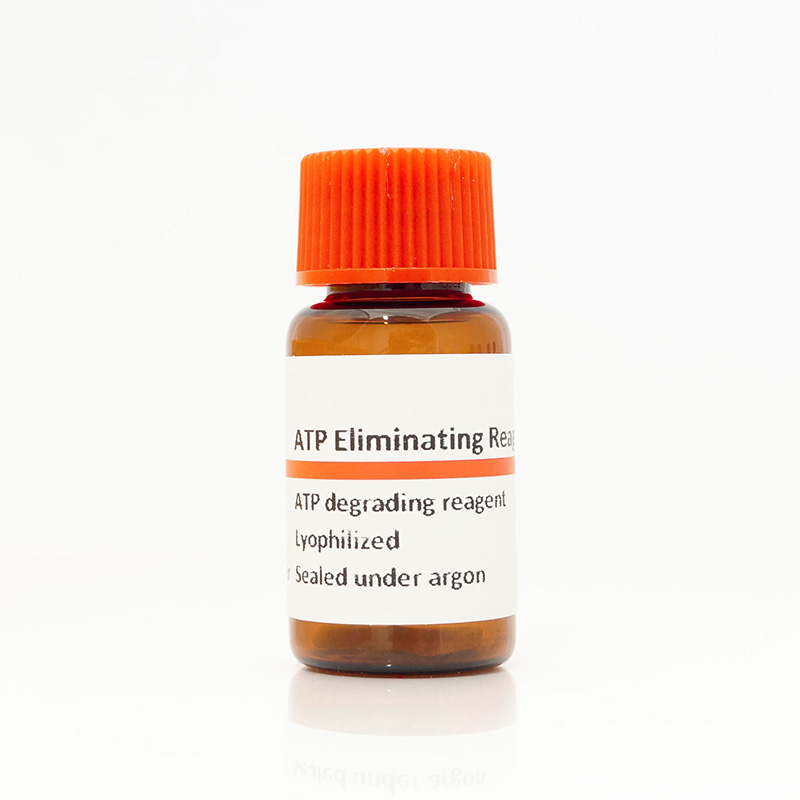 ATP Eliminating Reagent