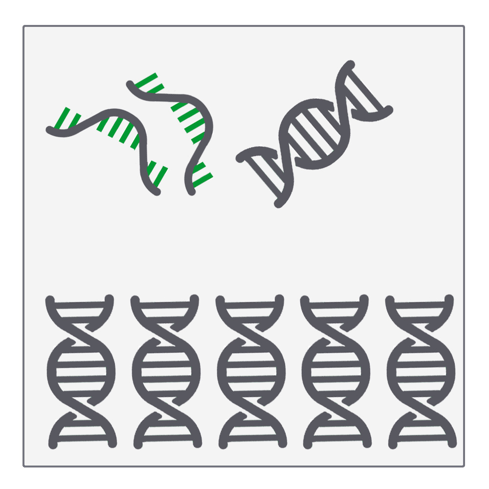 qPCR
