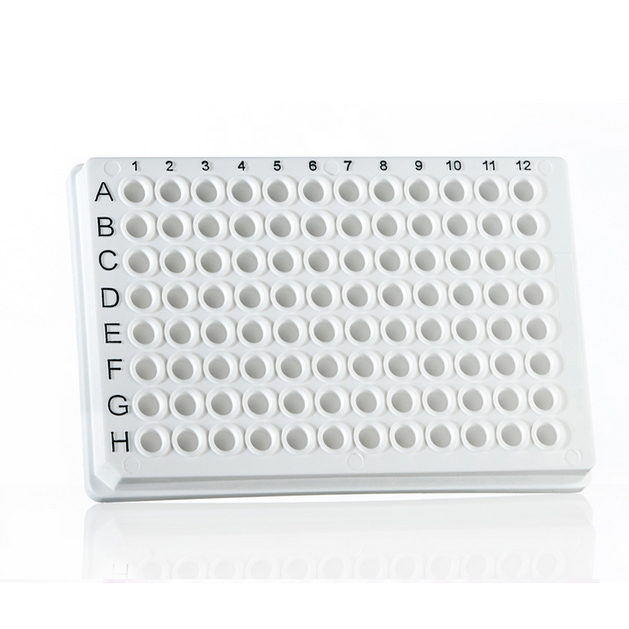 96 Well PCR Plate, white