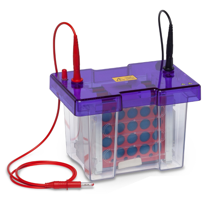 EasyPhor PAGE WetBlotter Mini System, 10x10 cm