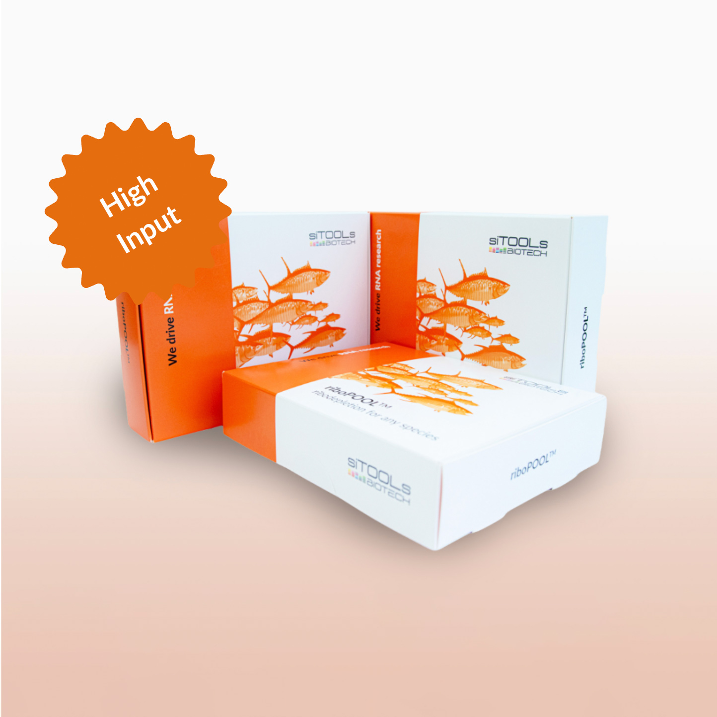 High-Input riboPOOL 6 reaction kit (Pan Bacteria)