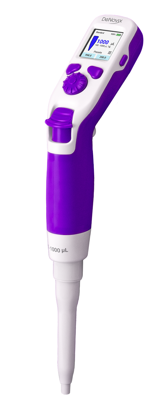 Squid02a