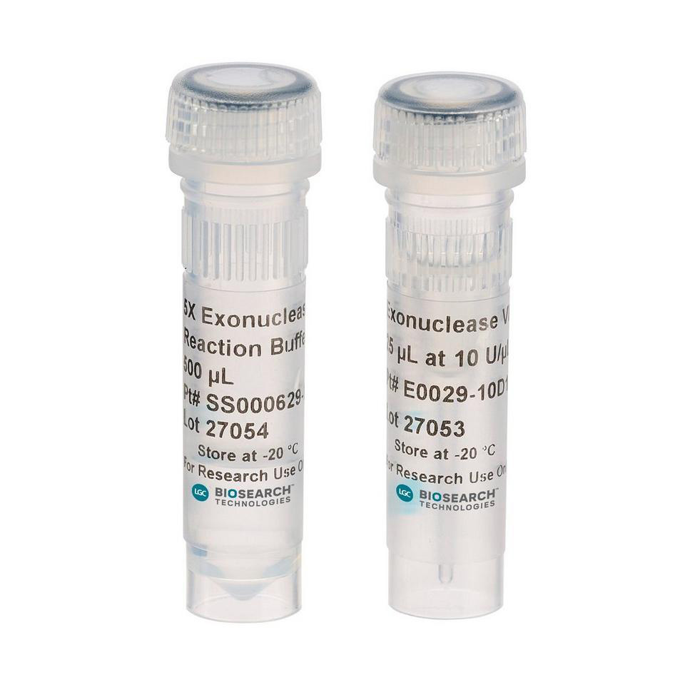 Exonuclease VII,  10 U/µl