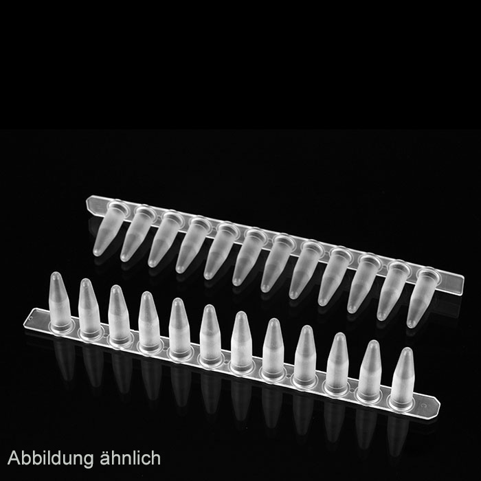 PCR TW 12-Tube Strip, 0.2 ml, farblos