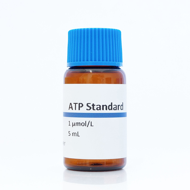 ATP Standard (1 µmol/l)