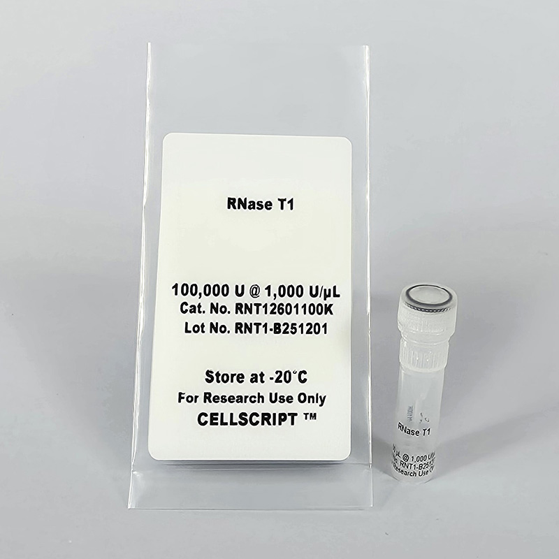 RNase T1