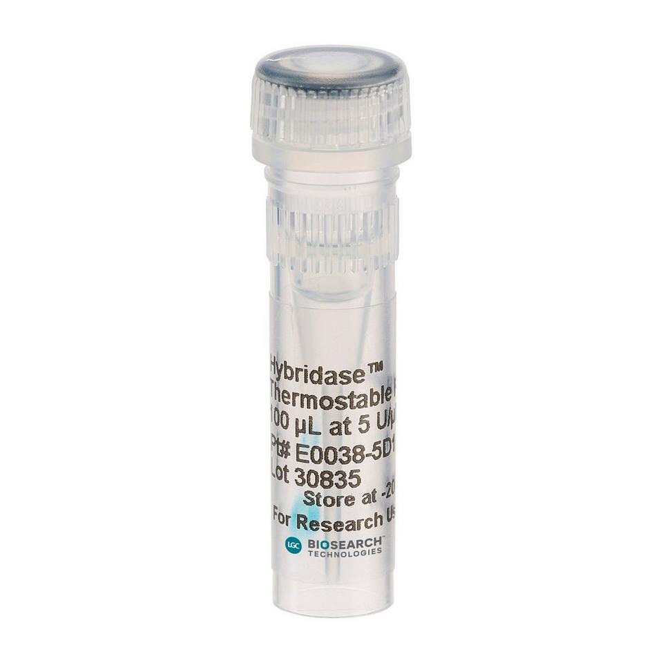 Hybridase thermostabile RNase H, 5 U/µl