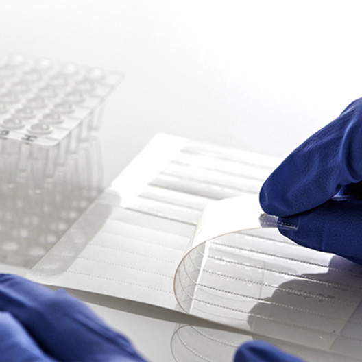 PCR Seal 96/8, clear adhesive film
