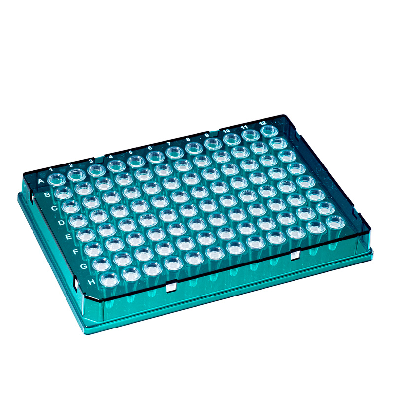 Caretta 96-Well PCR Platten, grün, farblos