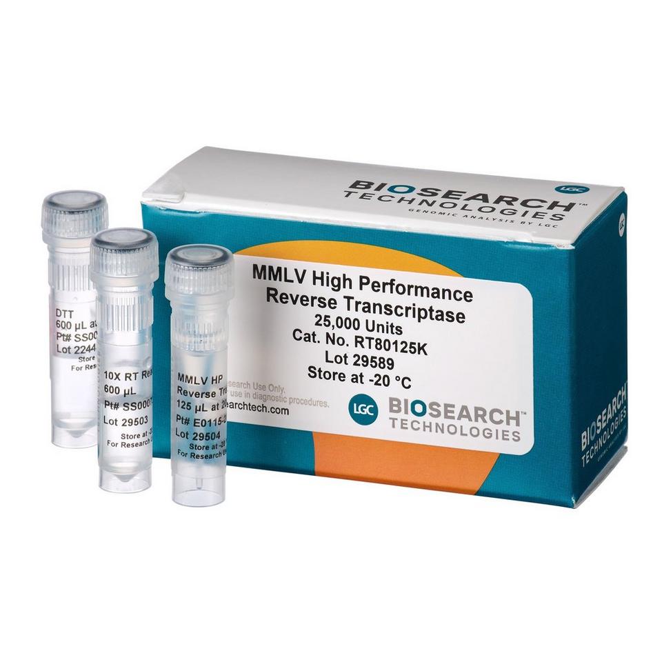 MMLV High Performance Reverse Transcriptase