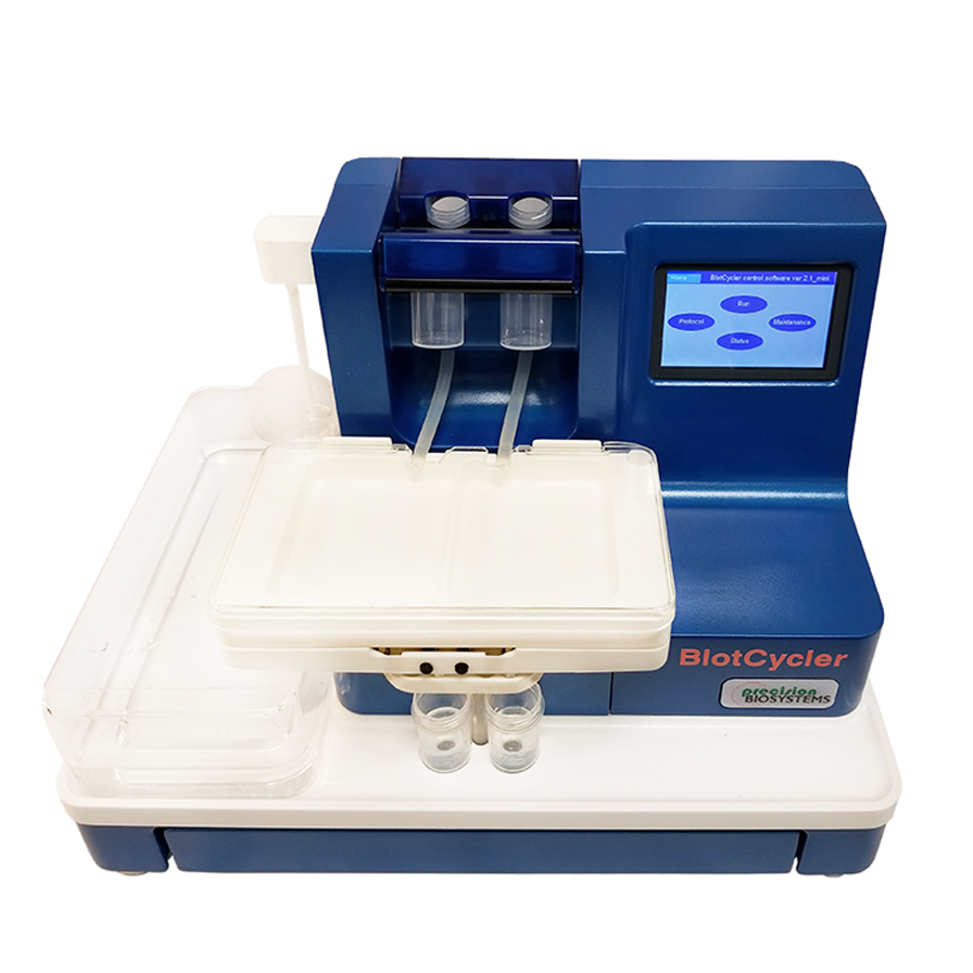 Automatisiertes Western Blotting