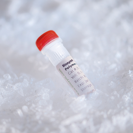 Biozym Hot-Start Taq DNA Polymerase, inkl. Buffer