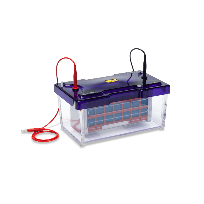 EasyPhor PAGE WetBlotter Mini Wide System 20x10 cm