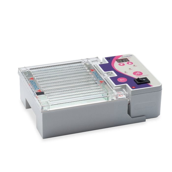 EasyPhor MiniONE Komplett Gelelektrophorese System
