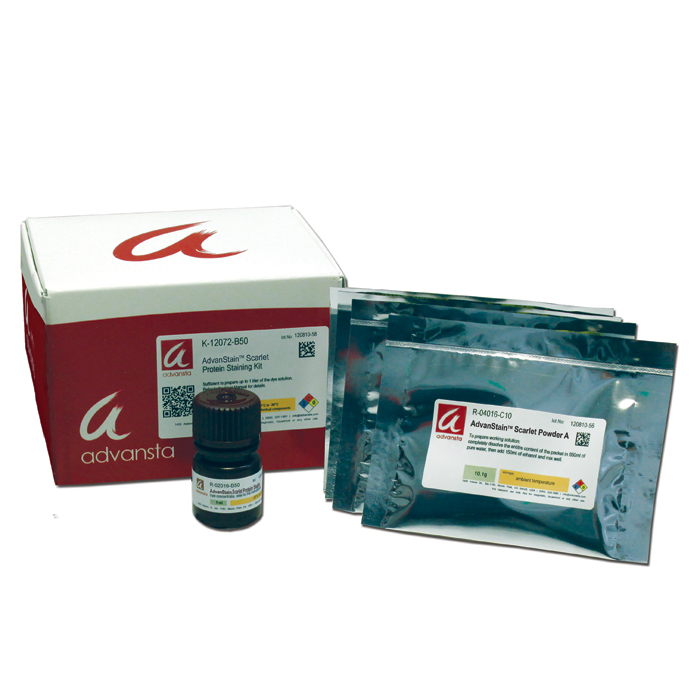 AdvanStain Scarlet Protein Fluoreszenzlabel