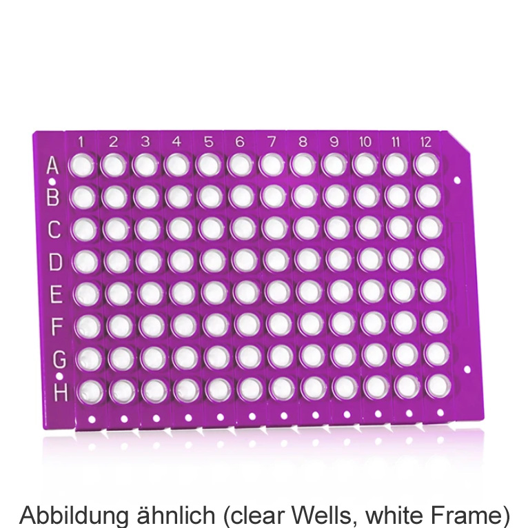 FrameStar 96 PCR Plate, clear Wells, white Frame