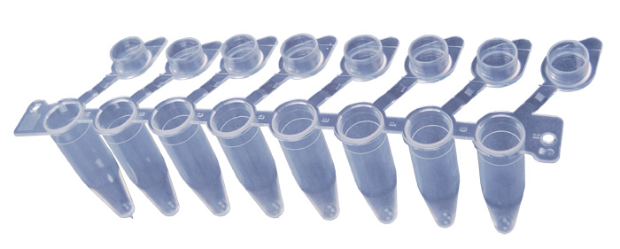 PCR TW 8-Tube Strip, 0.2 ml, farblos, steril