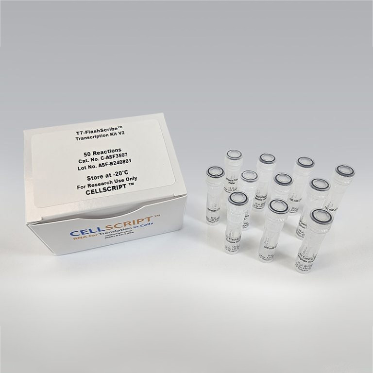 T7-FlashScribe Transcription Kit